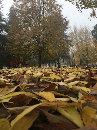 Parco Giochi "Alpini"