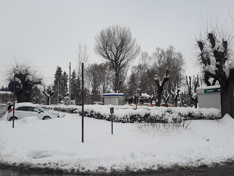 Parco Giochi di Piazza Torlonia