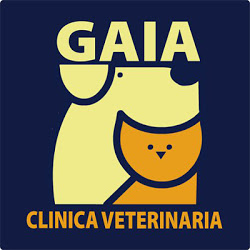 Clinica Veterinaria GAIA Ancona - Servizio di Oncologia Veterinaria