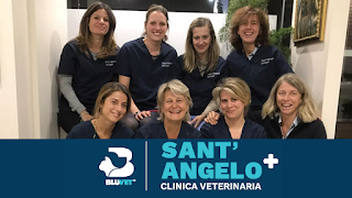 Clinica Veterinaria Sant'Angelo | Milano centro