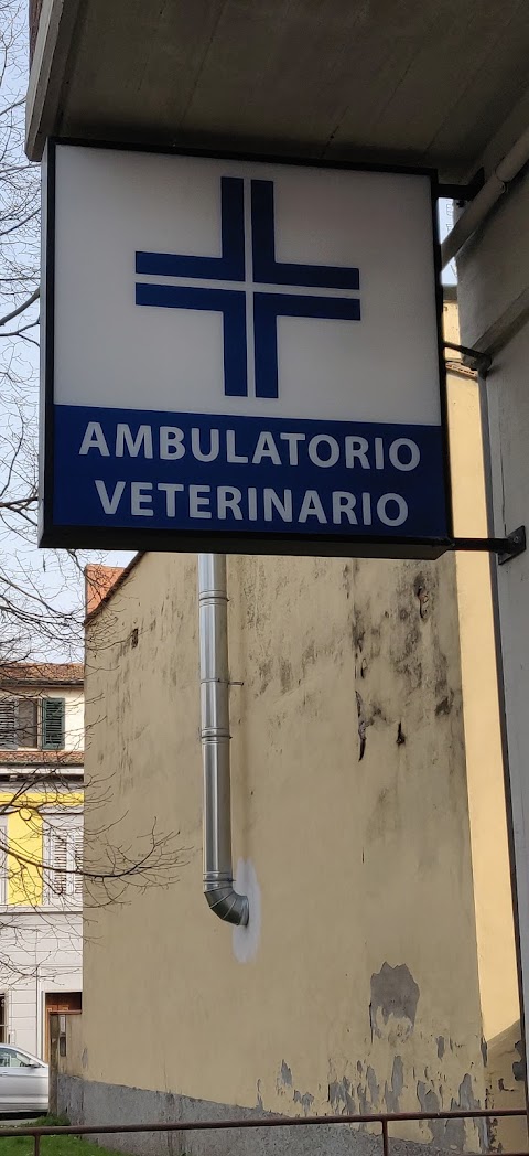 Ambulatorio Veterinario Dott. Toccafondi Roberto