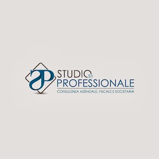 Studio Professionale S.R.L.