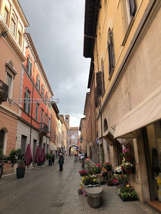 Farmacia della Via Appia