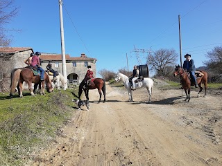 I Cavalieri del Colle