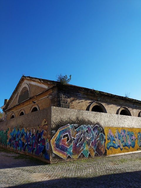 Università Degli Studi Roma Tre - Architettura