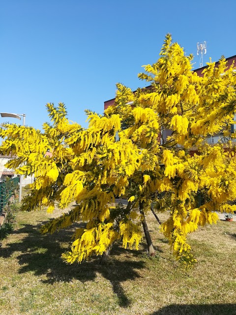 Venezia nature & beach casa vacanze