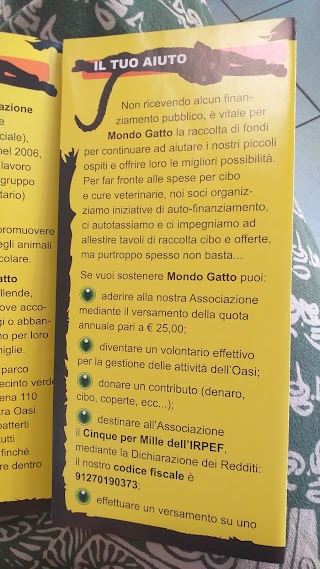 Mondo Gatto - Oasi Felina