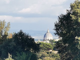 Parco delle mimose