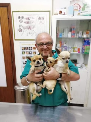 Ambulatorio Veterinario Consoli Dr. Francesco