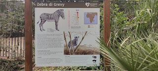 Recinto delle zebre