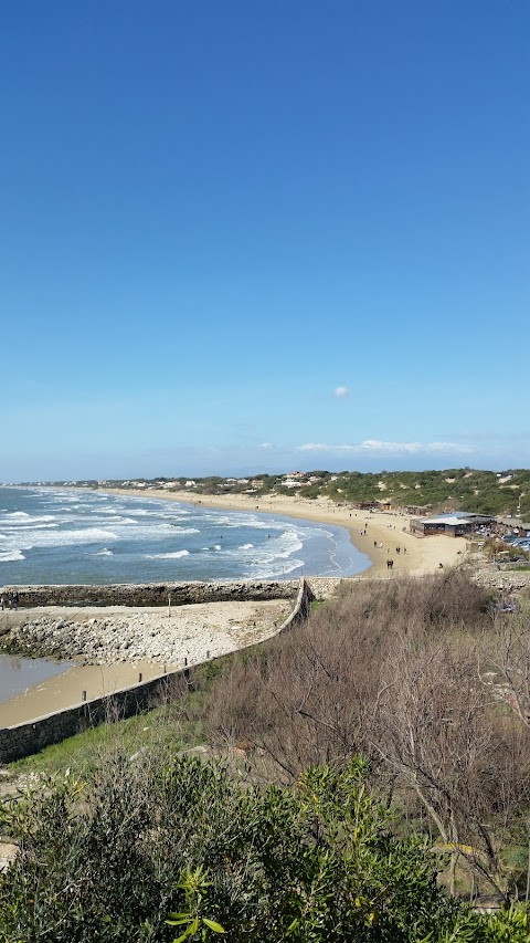 L'Approdo di Augusto - Ristorante di Pesce e Pizzeria sul mare a Sabaudia