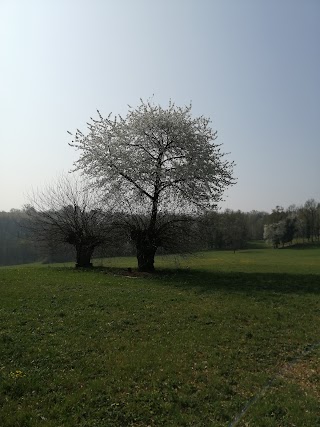 Comune di Dusino San Michele