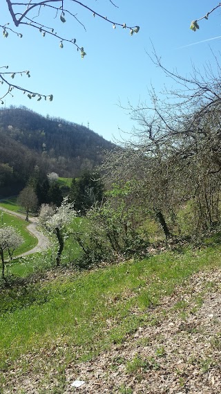 Terre d'Appennino