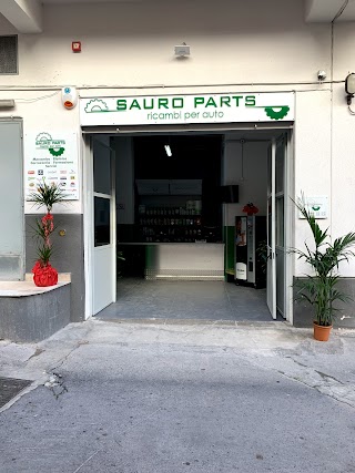 Sauro Parts Srl
