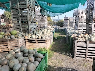 Azienda Agricola Benatti Arcadio