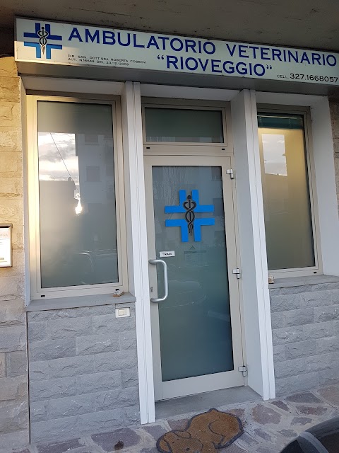 Ambulatorio Veterinario Rioveggio Di Roberta Cossovi