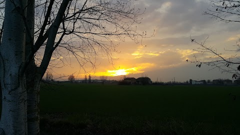 Complesso Gelsomino - Scuola dell’infanzia