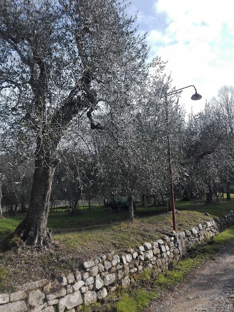 FATTORIA DI CATICCIANO