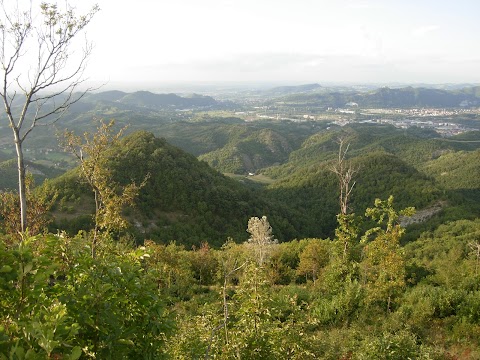 Sentiero Naturalistico del Boschetto