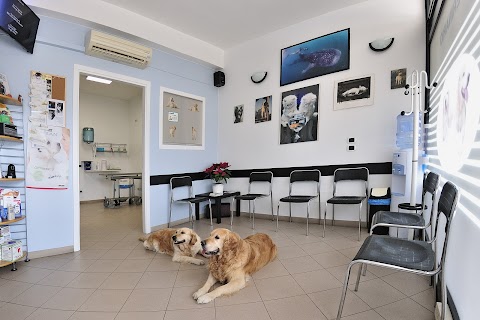 Ambulatorio Veterinario Canali