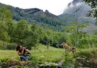 Mon Viso Rioblu Allevamento Cane Lupo Cecoslovacco