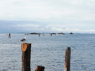 Pellestrina Cimitero