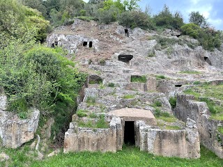 Necropoli di Pian del Vescovo - Blera