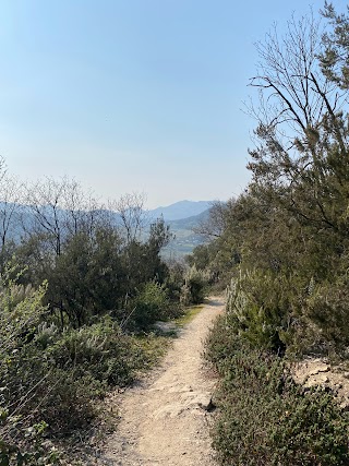 Monte Boscalbò 119 m slM