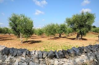 Azienda Agricola Olimpia