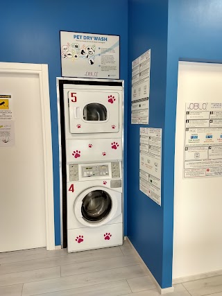 Lavanderia Self Service Oblo' - unconventional laundry