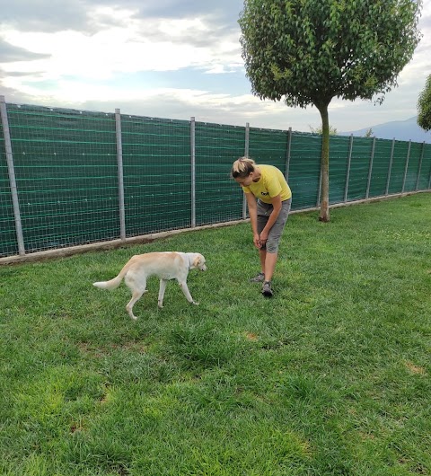 Centro Cinofilo Dog Club