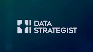 Data Strategist