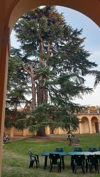 Corso di Laurea in Infermiestica Università degli Studi di Bologna Sezione Formativa di Imola Azienda USL di Imola