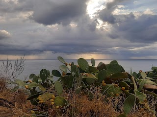 B&B IL GIARDINO DEI LIMONI