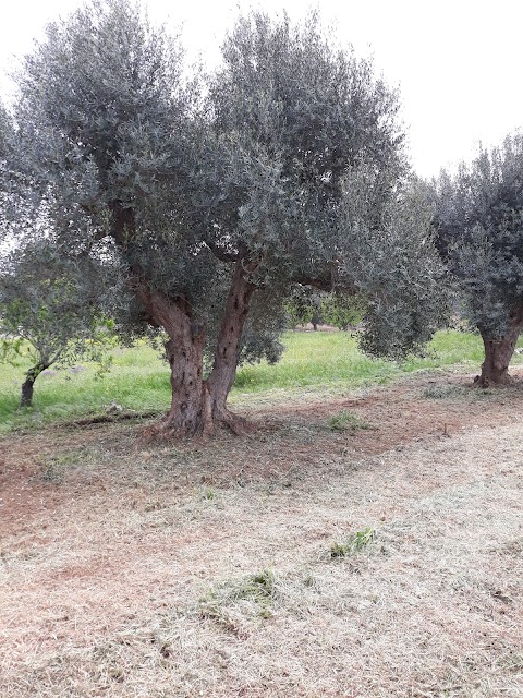 Campagna a Cervarolo