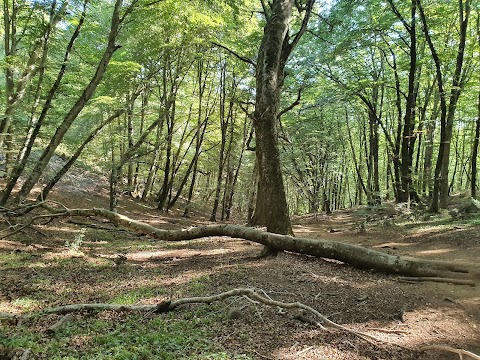 Grotta "Pozzo Del Diavolo"