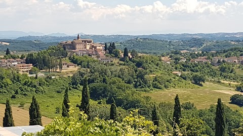 Il ciliegio blu