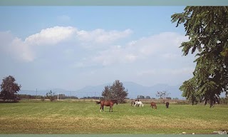 B&C Ranch Della Luce