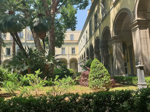 Facoltà di Medicina e Chirurgia - Università degli Studi della Campania "Luigi Vanvitelli"