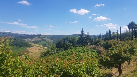 La Buca di Spigonetti Andra - Bed and breakfast sui colli bolognesi