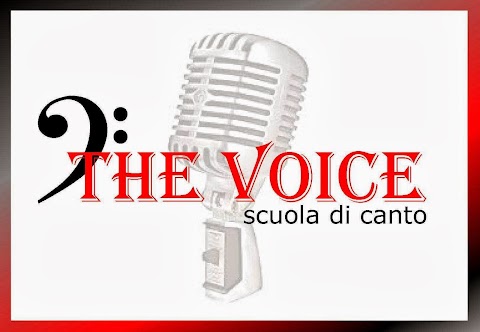 THE VOICE scuola di canto