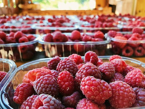 Azienda Agricola Lamponi Felici