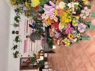 Mirabella fiori e piante