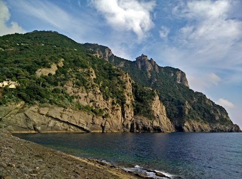 Area Marina Protetta di Portofino