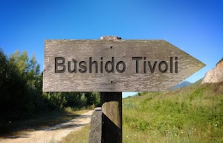 asd Bushido Tivoli