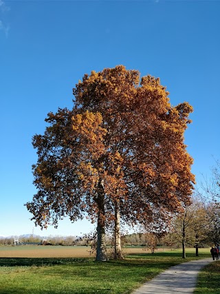 Un Parco con due Ali 2017