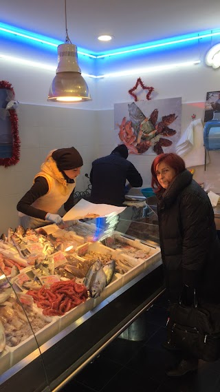 Pescheria Pesce Da Terracina 2