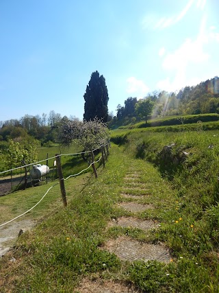 Albergo Ristorante La Veranda