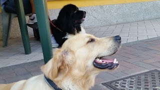 Ambulatorio Veterinario San Rocco di Bettini Francesca