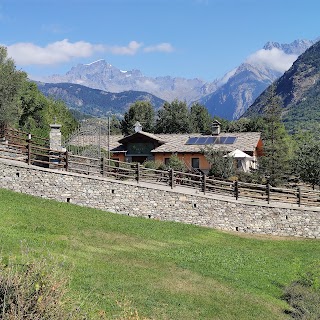 Centro Cinofilo Chez Vous allevamento cani, pensione e toilettatura